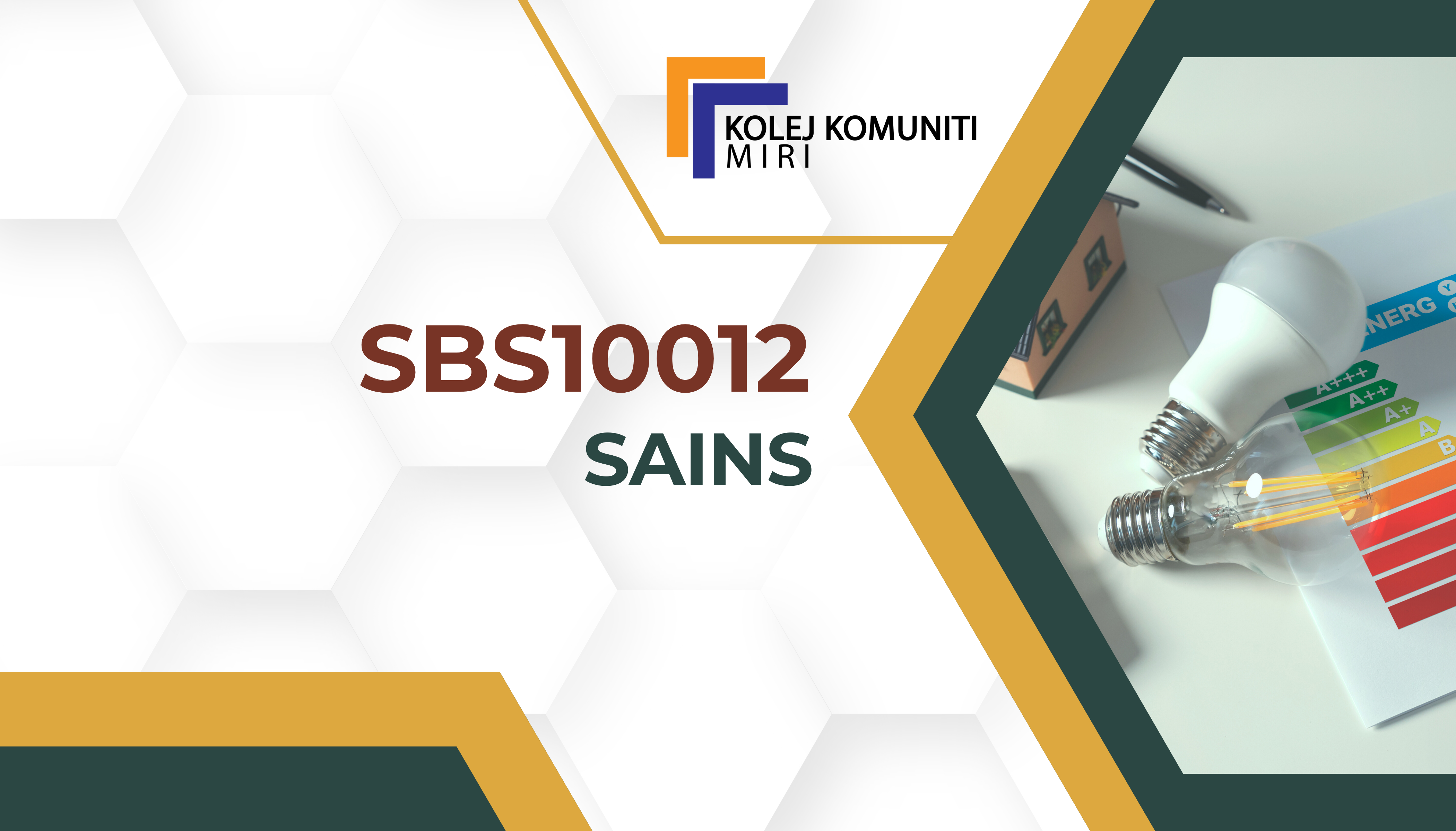 SBS10012 SAINS copy 1